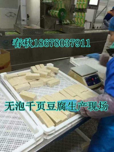 无泡千页豆腐设备春秋技术免费