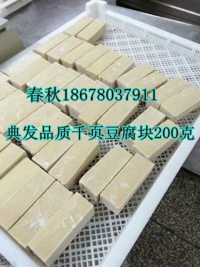 千页豆腐无泡块生产技术工艺真空去泡机