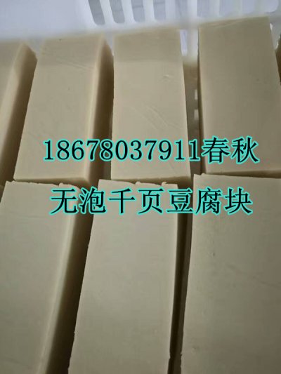 千页豆腐无泡技术，千页豆腐无泡设备春秋免费